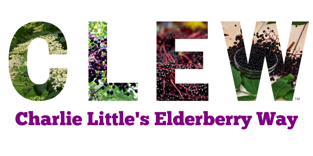elderberry way suppliments
